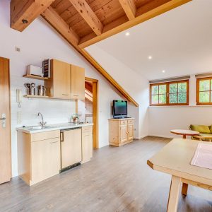 ferienwohnung-7- (5)